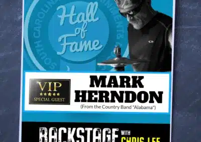 image of backstage pass for mark herndon
